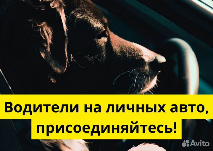 Подключи свой автомобиль к Яндекс.GO