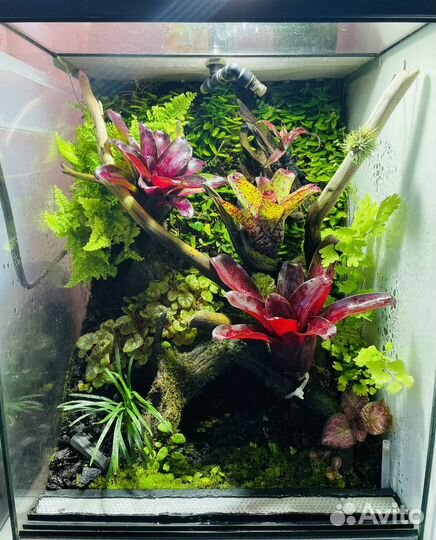 Оформление террариума, флорариума