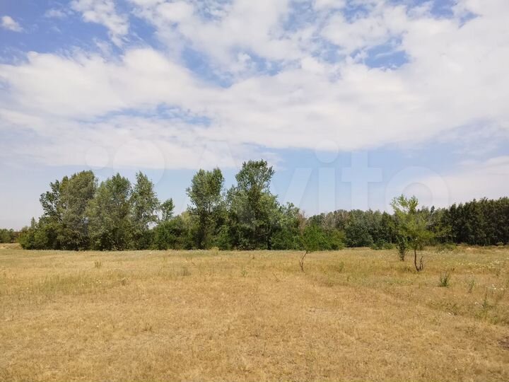 Участок 50 сот. (ИЖС)