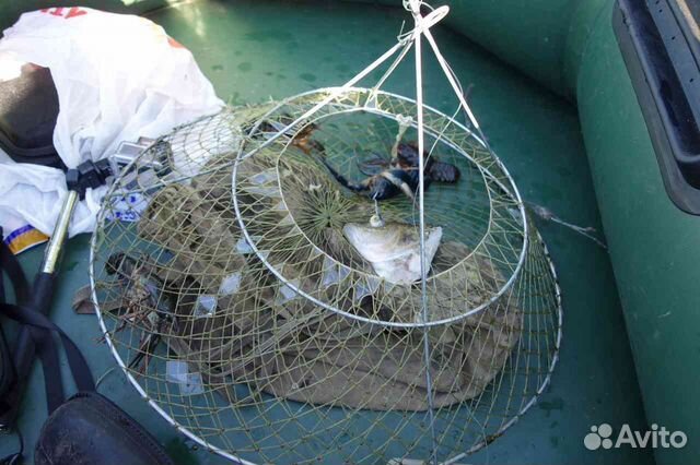 Раколовка круглая чернильница 50 купить в Воронеже | Хобби и отдых | Авито