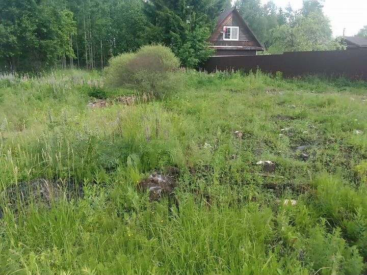 Участок 10 сот. (ИЖС)
