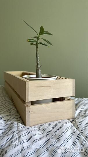 Кашпо ящик для цветов деревянное