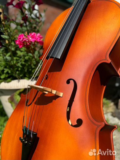 Виолончель 1 2