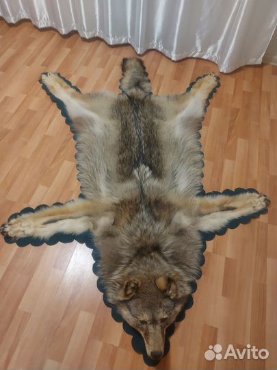 Шкура волка