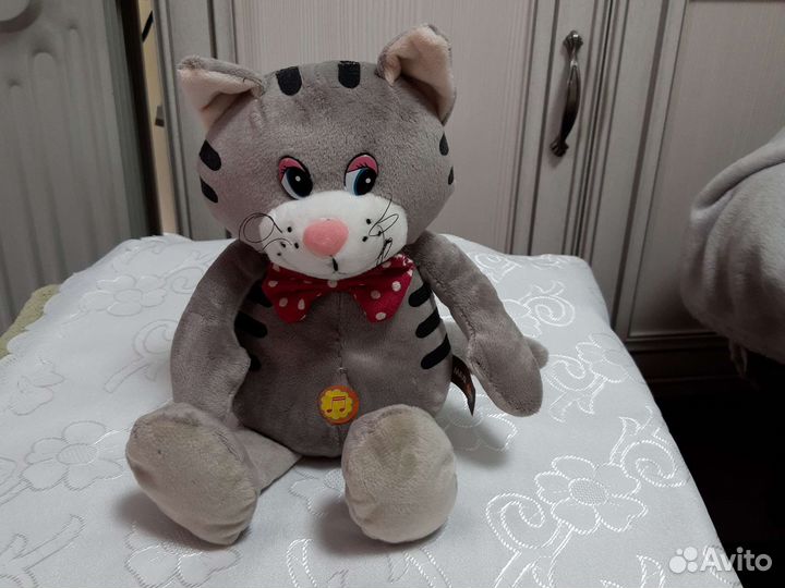 Котик дружелюбный