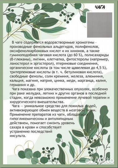 Чага, Иван-чай, Пихта - сиропы