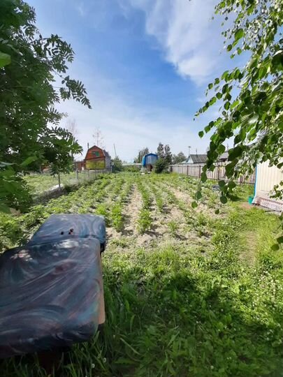 Дача 20 м² на участке 8 сот.