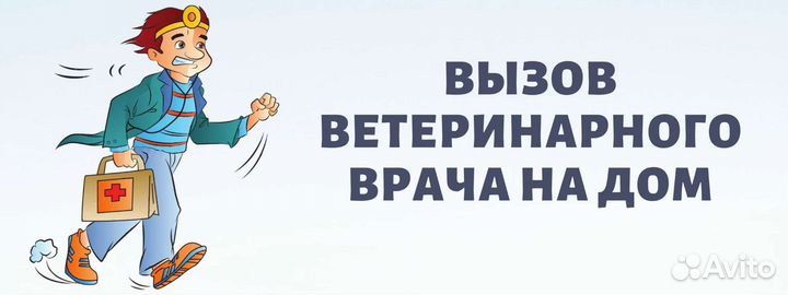 Услуги ветеринара
