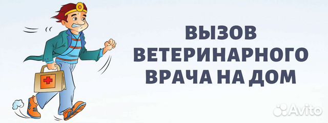 Услуги ветеринара