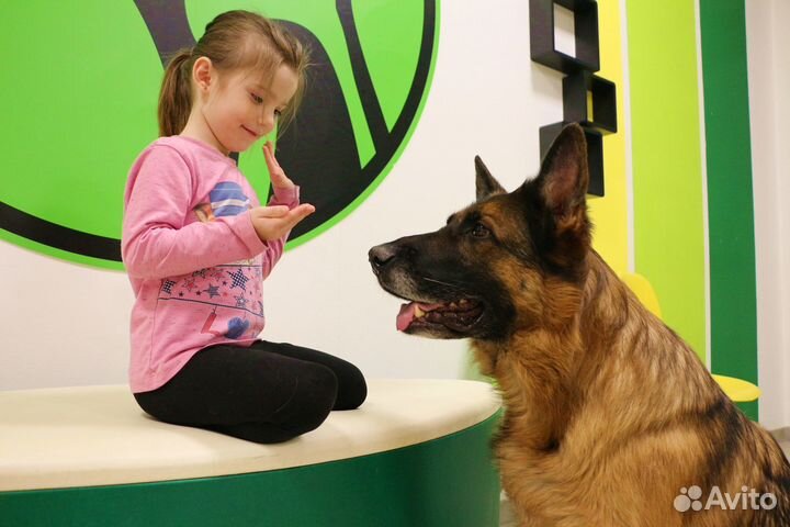 Зоопсихолог/собаки,кошки,экзотические виды