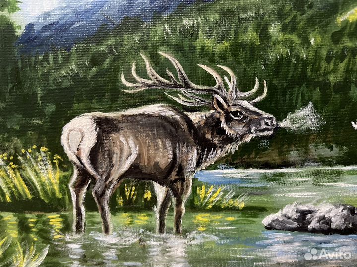 Картина маслом на холсте 30 x 40 Олень в тайге