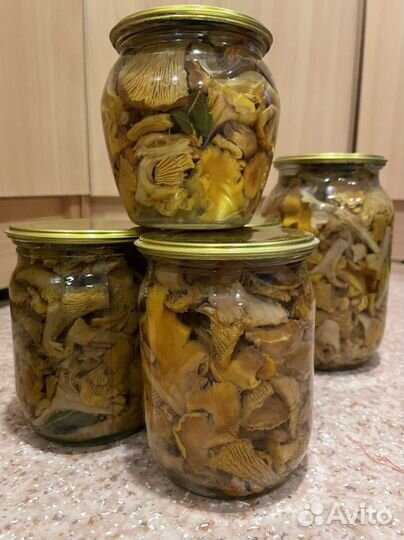 Грибы разные