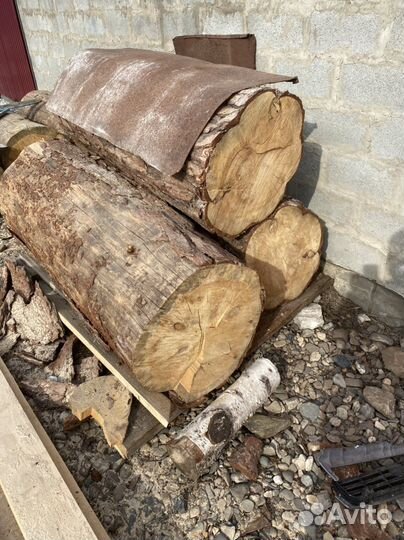 Колода для пчел