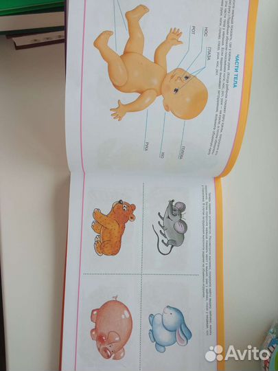 Большой альбом по развитию речи Батяева, Володина