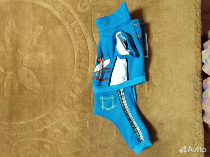 Одежда для собак мелких пород