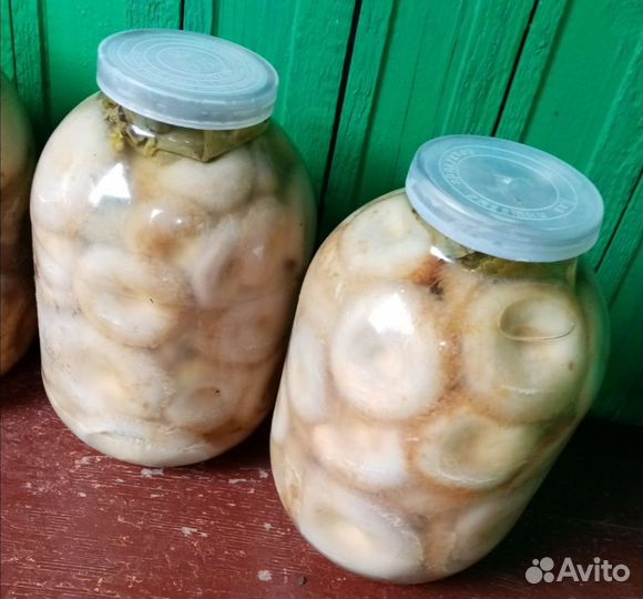 Груздь сырой, соленые