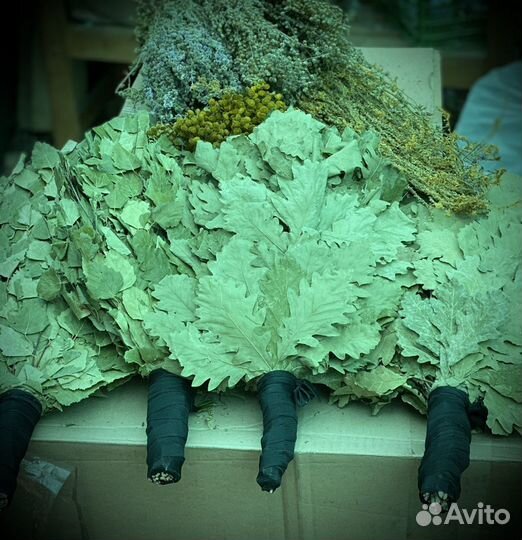 Тысячалистник