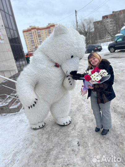 Белый мишка аниматоры