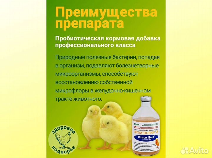 Кормовые добавки для домашней пиццы