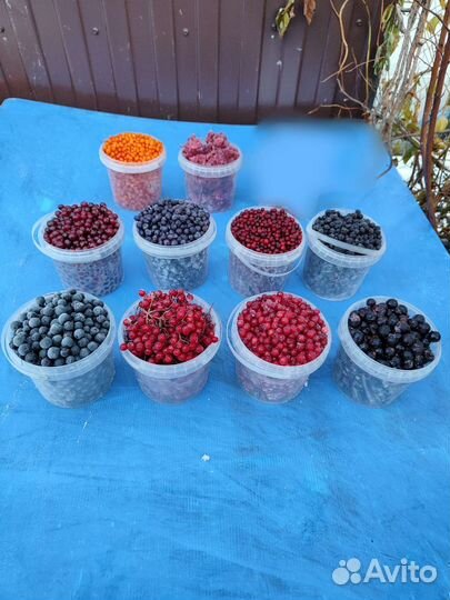 Ягоды оптом и в розницу