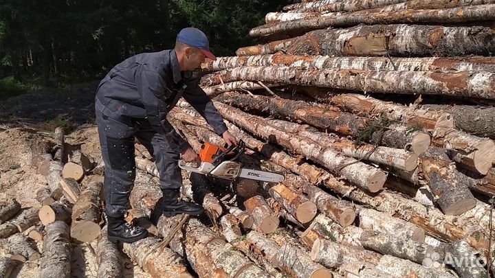 Пильщик, кольщик дров