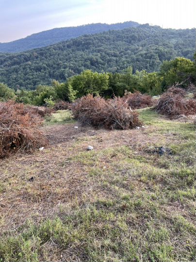 Участок 5,5 сот. (ИЖС)