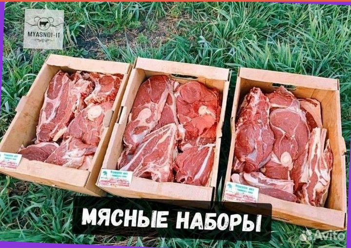 Мясо телятины