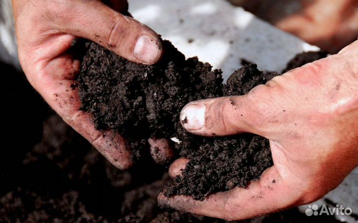Чернозем в наличии