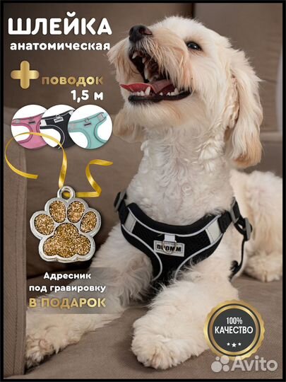 Шлейка для собак мелких и средних пород