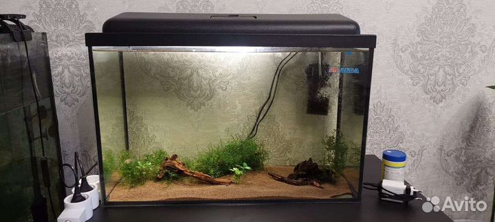 Аквариумные рыбки