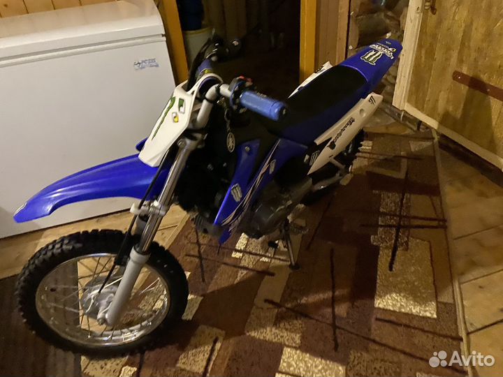 Yamaha ttr110
