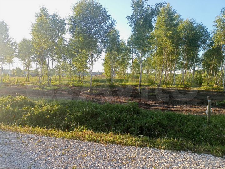 Участок 11,5 сот. (СНТ, ДНП)