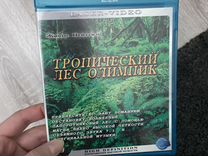 Blu ray блюрей тропический лес олимпик