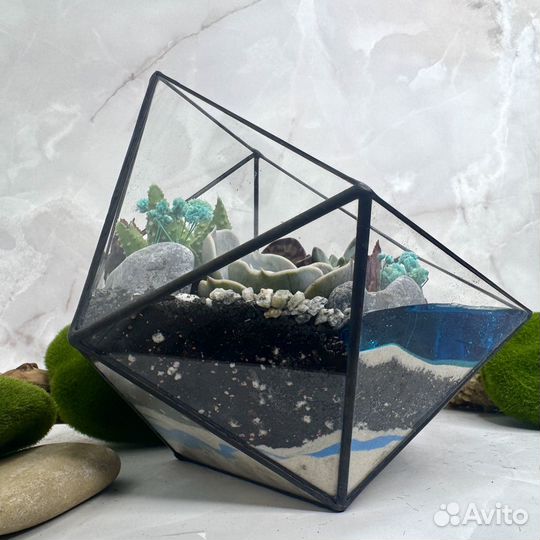 Флорариум с живыми растениями и озером