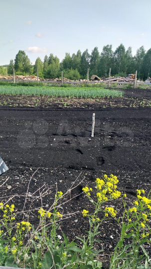 Участок 10 сот. (ИЖС)