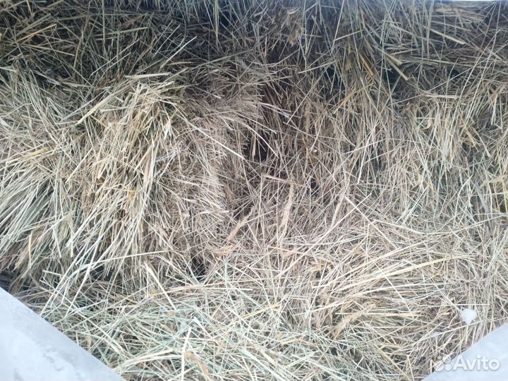 Сено в тюках