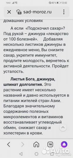 Джинура листья бога