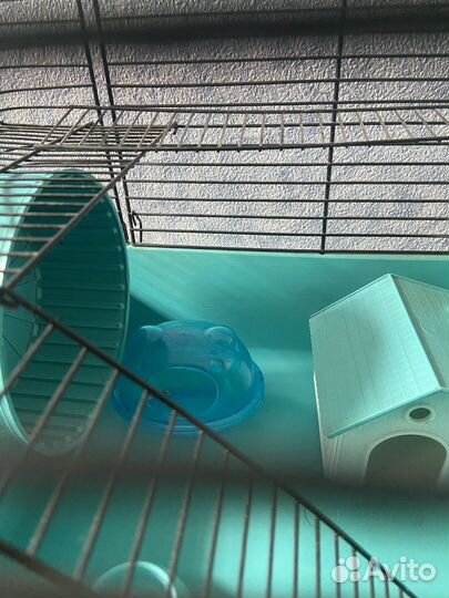 Клетка для грызунов бу