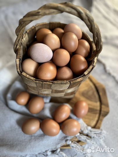 Домашние куриные яйца