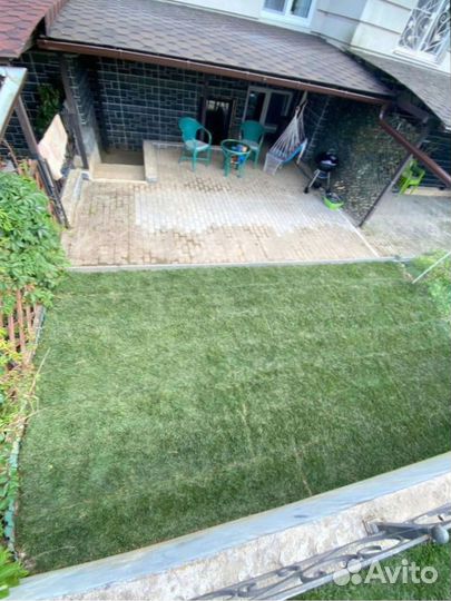 Рулонный газон для небольшого участка