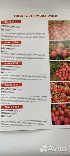 Профессиональные семена овощных культур