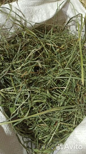 Запарка для бани средняя