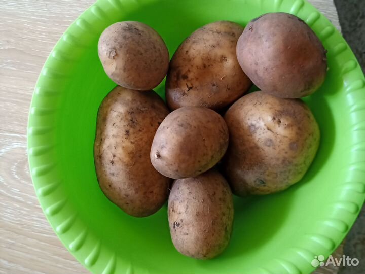 Картофель на дом