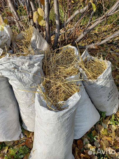 Солома в мешках