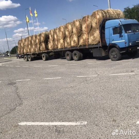 Сено от заготовителя с доставкой по области