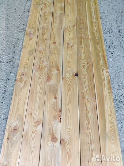 Планкен прямой лиственница