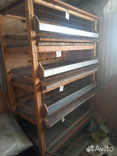 Клетка для птиц
