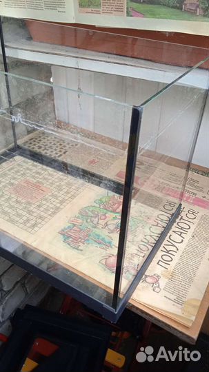 Аквариум с фильмом