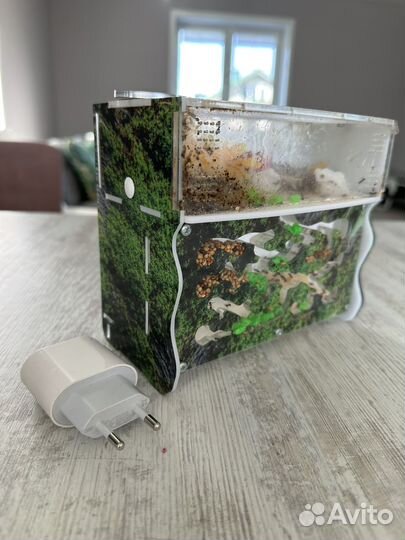 Муравьиная ферма