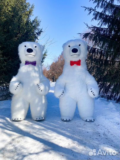 Поздравление от белого медведя/аниматор